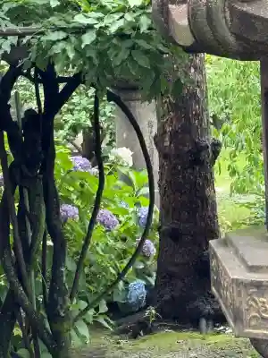 六孫王神社(京都府)