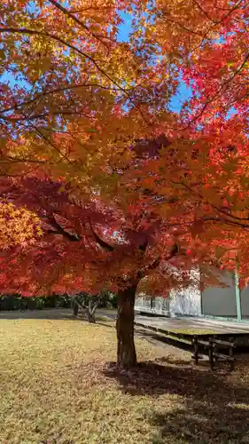 橋寺 放生院(京都府)