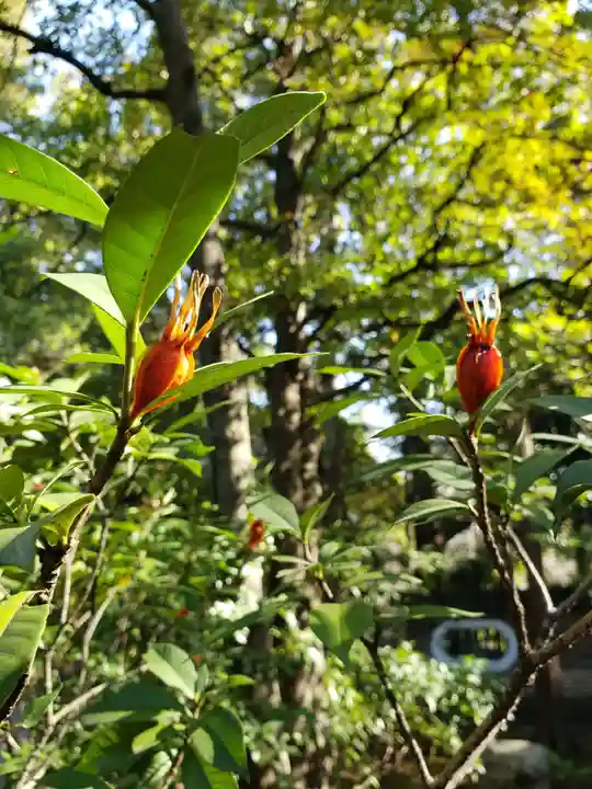 赤坂氷川神社(東京都)
