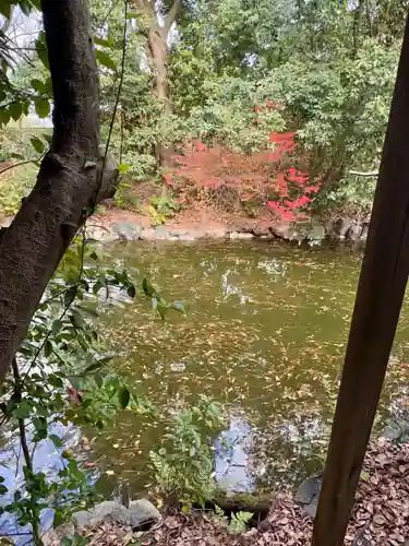 嚴島神社 (京都御苑)(京都府)