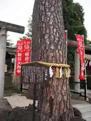 中野沼袋氷川神社の建物その他