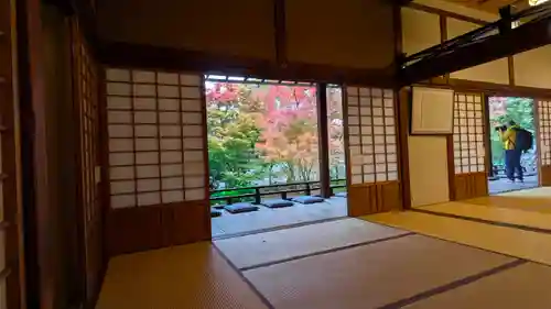 興聖寺(京都府)