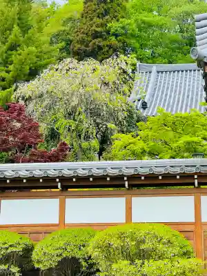 浄林寺の{uncategorized: "未分類", other: "その他", undefined: "問題あり", building: "その他建物", grave: "お墓", sacred_gate: "鳥居", guardian: "狛犬", statue: "像", buddha: "仏像", history: "歴史", nature: "自然", garden: "庭園", animal: "動物", pagoda: "塔", temizu: "手水舎", mountain_gate: "山門・神門", sanctuary: "本殿・本堂", subordinate: "末社・摂社", art: "芸術", scenery: "景色", jizo: "地蔵", ema: "絵馬", goshuin: "御朱印", omikuji: "おみくじ", items: "授与品その他", amulet: "お守り", goshuincho: "御朱印帳", eats: "食事", festival: "お祭り", votive_dance: "神楽", shichigosan: "七五三参", wedding: "結婚式", experience: "体験その他", initially: "初詣", around: "周辺", anti_infection: "感染症対策"}