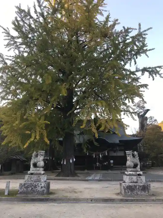 賀羅加波神社の狛犬