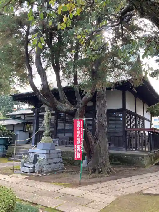 実蔵院の本殿・本堂