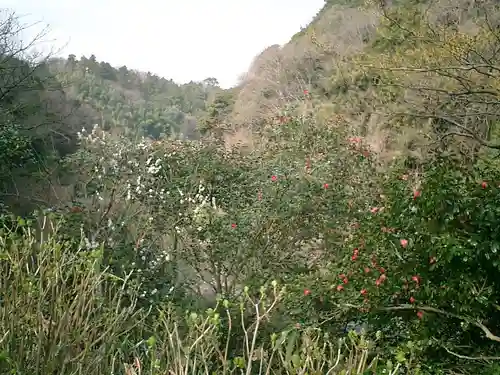 瑞泉寺の景色