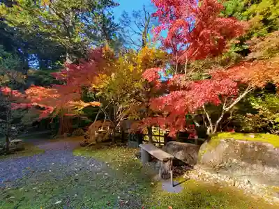 五所駒瀧神社(茨城県)