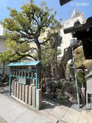 高津山 報恩院の自然