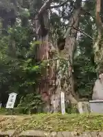 高岡神社(岡山県)