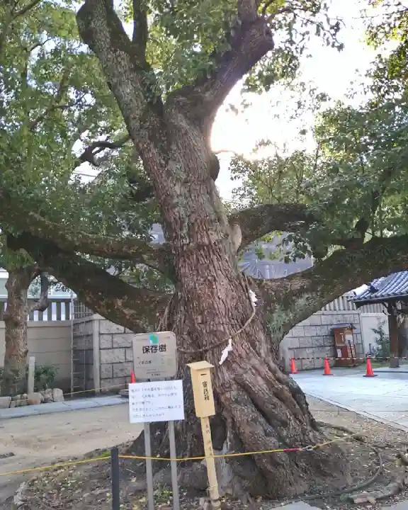難波神社の自然