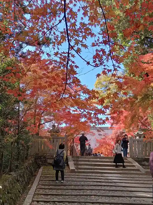 光明寺(粟生光明寺)(京都府)