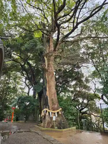 常陸國總社宮(茨城県)