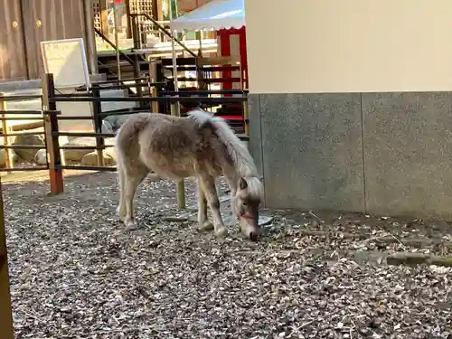 平塚八幡宮(神奈川県)