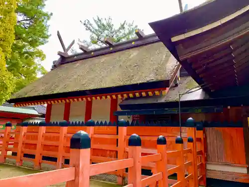 住吉大社(大阪府)