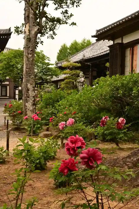 楽法寺(雨引観音)(茨城県)