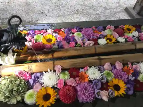 札幌護國神社の手水