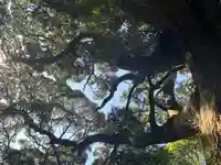 金刀比羅神社(茨城県)
