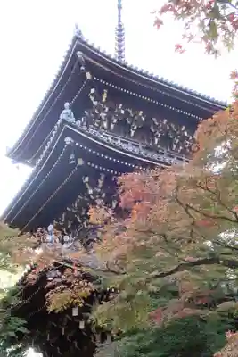 真正極楽寺(真如堂)の塔