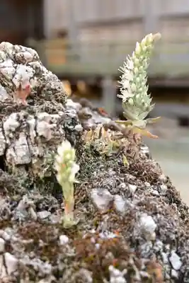 賀茂神社(愛媛県)