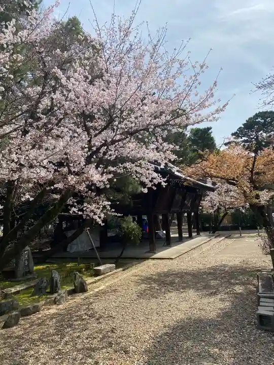 御香宮神社の自然