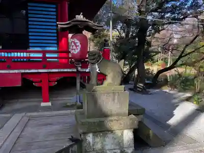 井の頭弁財天（大盛寺）の狛犬