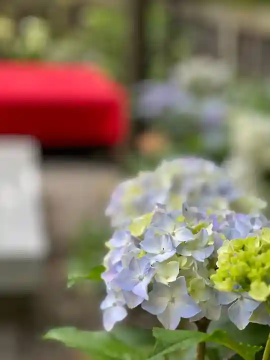 宝登山神社(埼玉県)