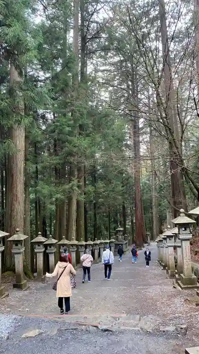 三峯神社(埼玉県)