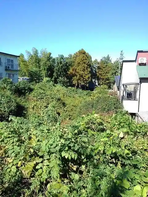 南平八坂神社の周辺