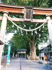 住吉神社の鳥居