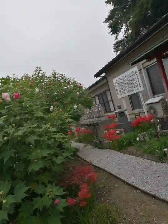 福泉寺のその他建物