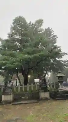 北野天満宮(京都府)