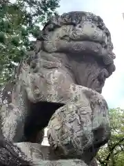 富士山本宮浅間大社の狛犬