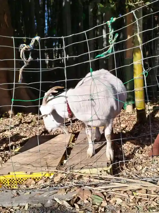 出雲大社相模分祠(神奈川県)