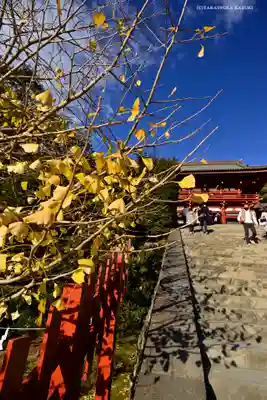 鶴岡八幡宮のその他建物