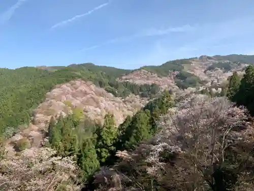 吉水神社の景色