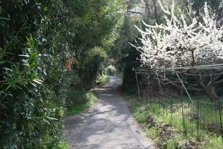 藤白神社の自然