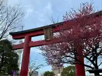 亀戸天神社(東京都)