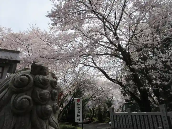 加波山神社真壁拝殿のその他建物
