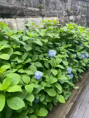 白山神社(東京都)