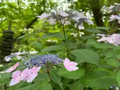 石清水八幡宮(京都府)