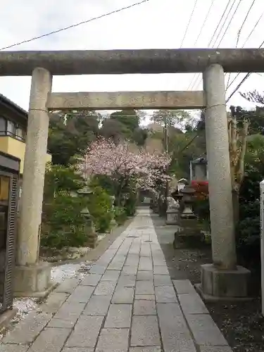 五所神社の鳥居