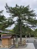 氣比神宮(福井県)