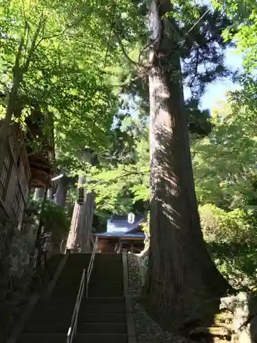 日枝神社の建物その他