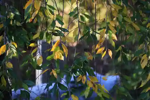 豊景神社の庭園