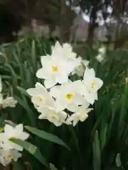 賀羅加波神社の自然