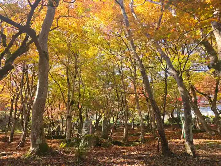 長安寺(京都府)