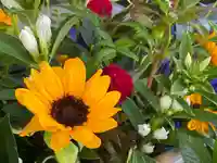 東海市熊野神社の手水舎