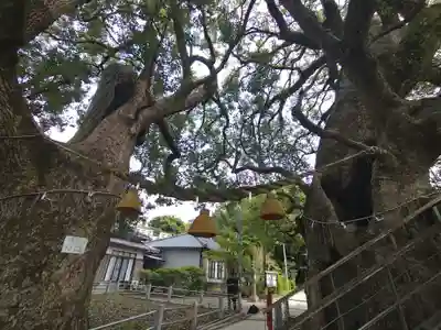 山王神社(長崎県)