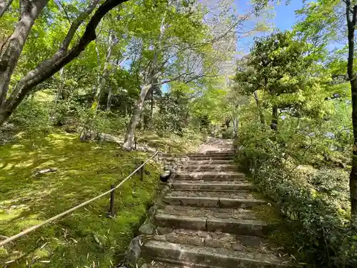 常寂光寺(京都府)
