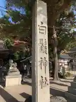 白鬚神社の狛犬